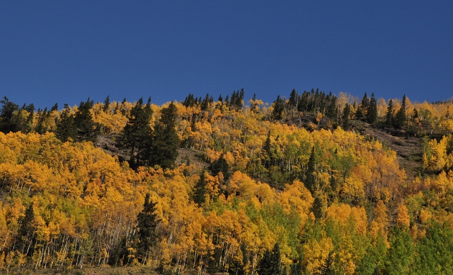 jeep tour to Brown Mountain